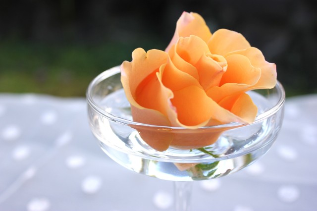 a3addbca4e984feba89ef12918d6e632_m