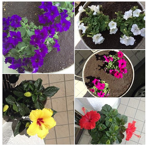 ss 2014-05-22 13.09.01