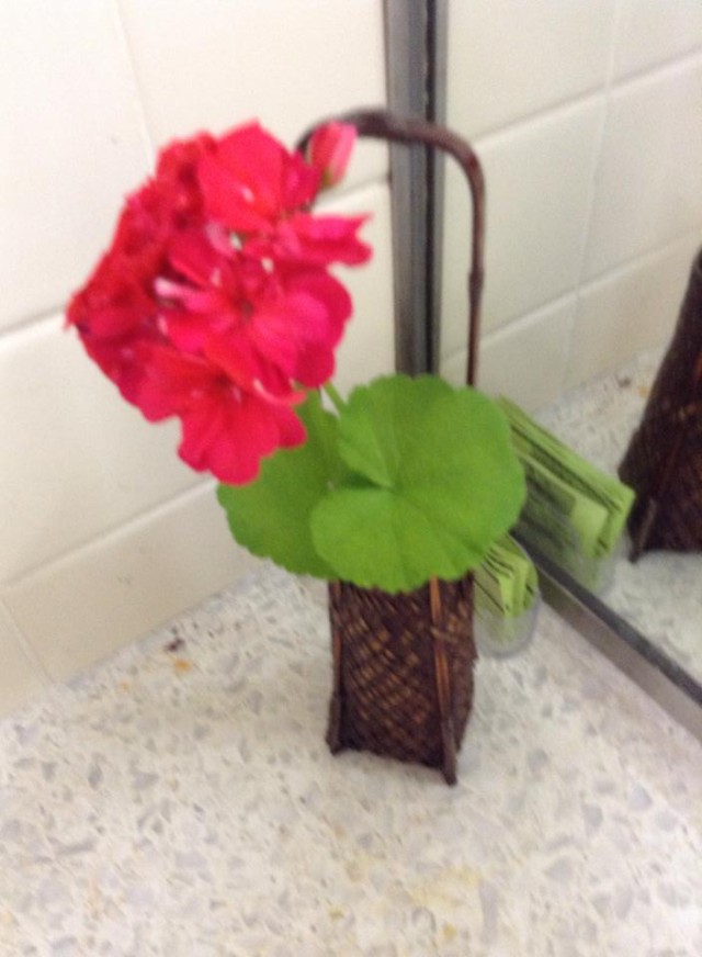 10310513_238173729727291_3809651611593516657_n