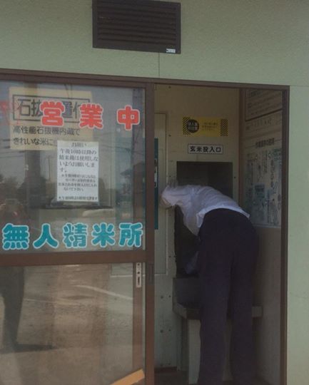 10345850_231587413719256_631253701062904360_n