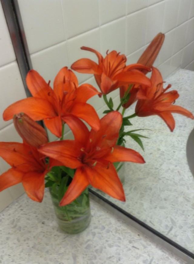 10458334_236040416607289_7649216100494428587_n