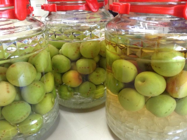 10500278_237025133175484_217910073698422520_n