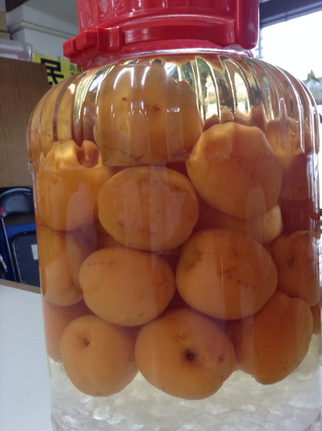 10509506_242174852660512_2157817705051681422_n