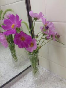 10659181_266855453525785_8009809742093929781_n