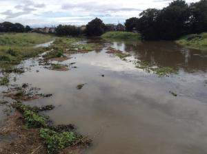 10687057_273620119515985_415958609607992474_n