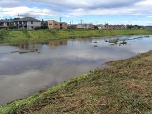 10689948_273620129515984_409182410344883869_n