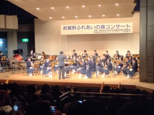 10377607_310379935840003_193829884405940006_n