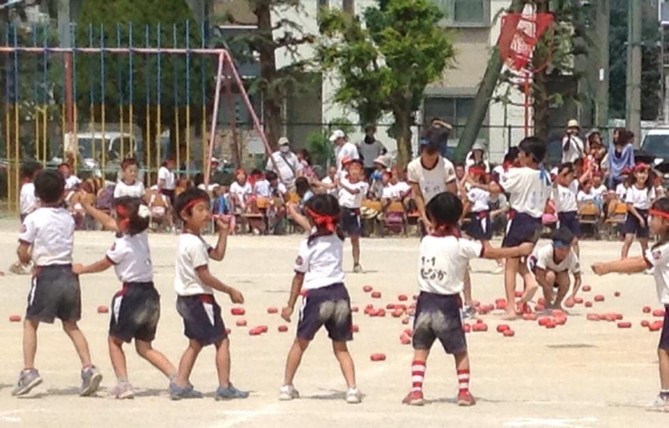 11137175_354740124737317_6975761186925207221_n