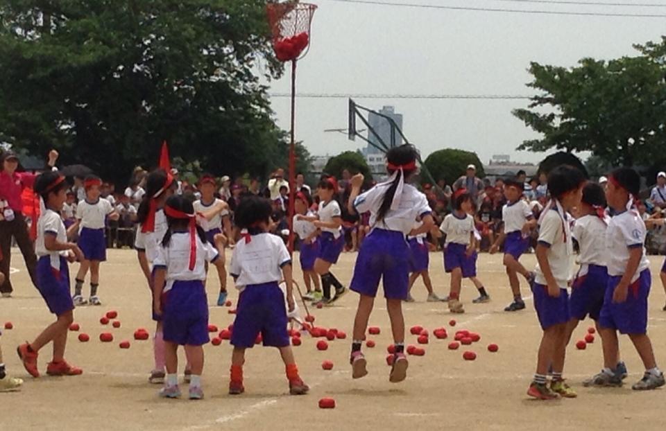 11329919_354740154737314_4854498725428649586_n