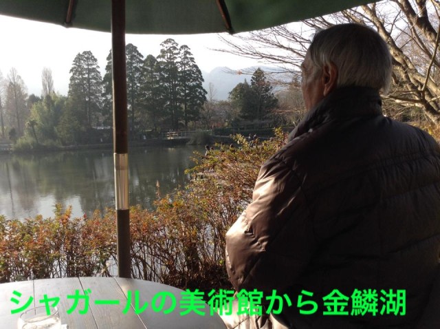 1918977_423118981232764_9076269424292101332_n