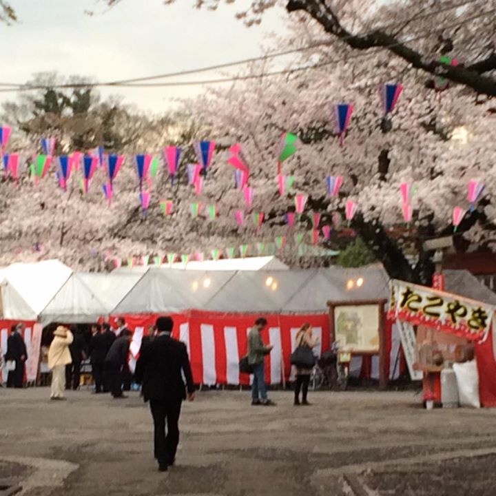 12524374_453106354900693_8975623836616313084_n